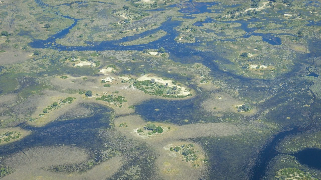 okavango-5028308_1280